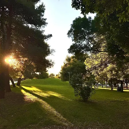 Se163 - Senigallia, Nuovo Bilocale Con Balcone In Centro Senigallia