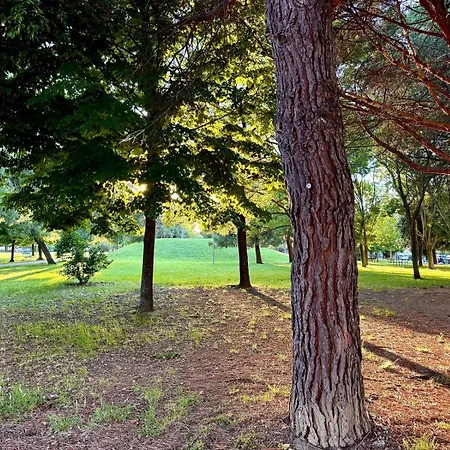 Appartamento Se163 - Senigallia, Nuovo Bilocale Con Balcone In Centro Senigallia